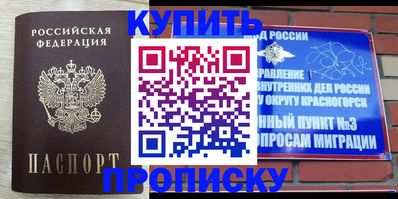 прописка гарантия в Мытищах